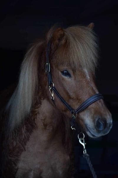 Inlägg 85 av Allround med titeln Min fina tjej💕🫶🏻