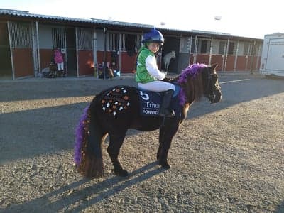 Inlägg 43 av Galopp med titeln Vinner bäst pyntade häst på Bro Park 💜👻🎃