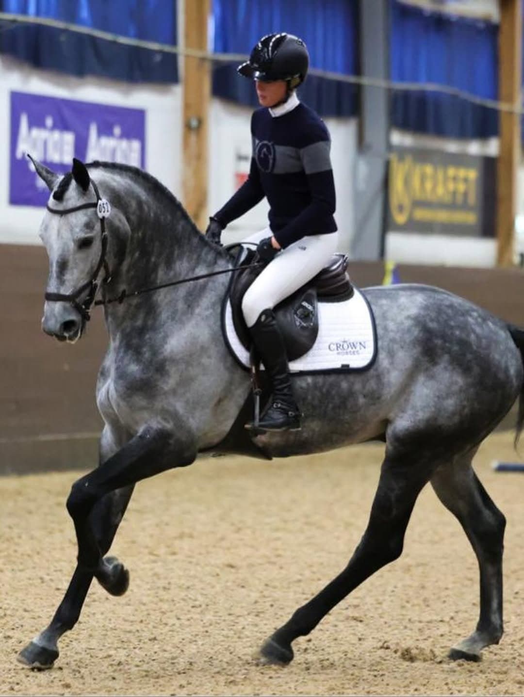 Bild 1 av Träning, utbildning & tävling av din häst