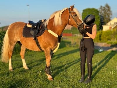 Inlägg 3 av Allround