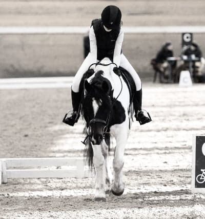 Inlägg 26 av Dressyr med titeln Dressyrtävling förra helgen💞 slutade på en tredje plats 
