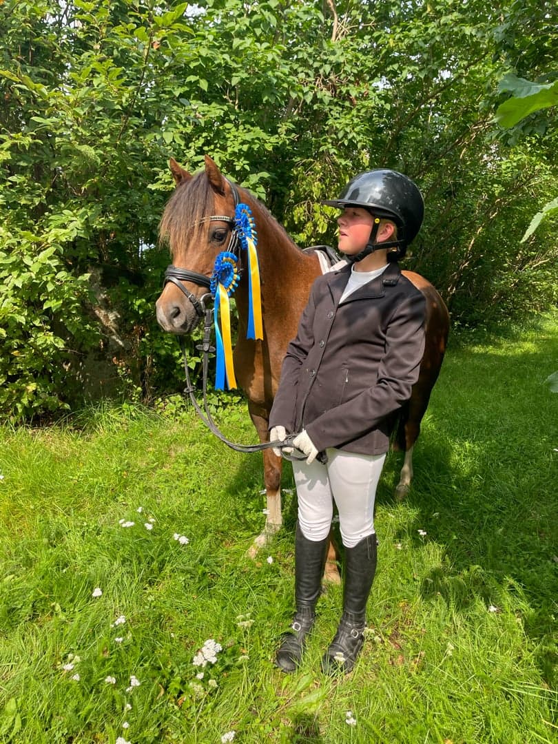 Bild 1 av Arhults Felix