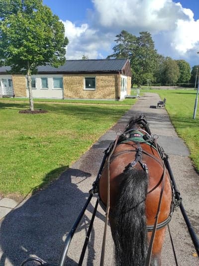 Inlägg 23 av Sportkörning med titeln Besök på Solgården