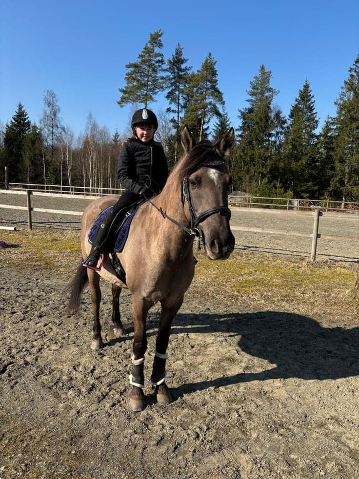 Media 14 av Mustang söker medryttare