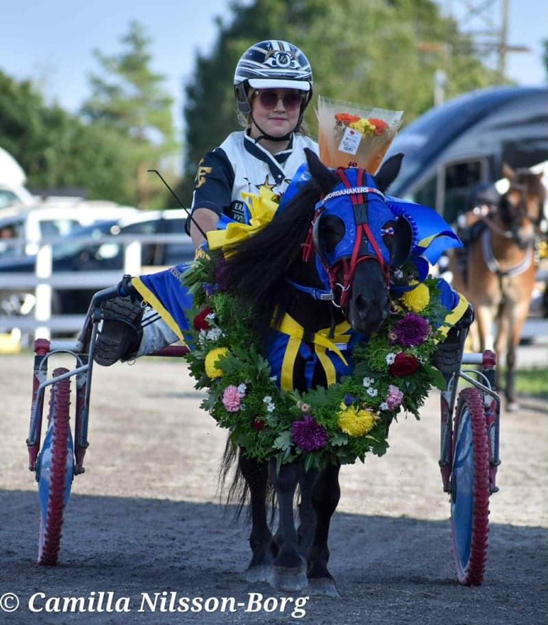 Bild 4 av Träning och tävling ponnytrav