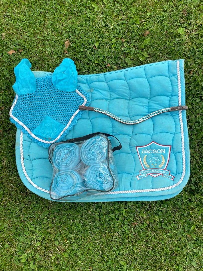 Bild 1 av Blått dressyrsätt