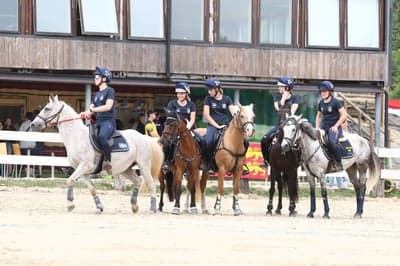 Inlägg 4 av Mounted games med titeln Lag VM 2022🕊