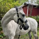 Profile picture of Elin Hart
