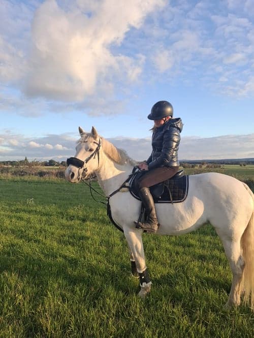 Bild av Maxad D ponny tillsalu