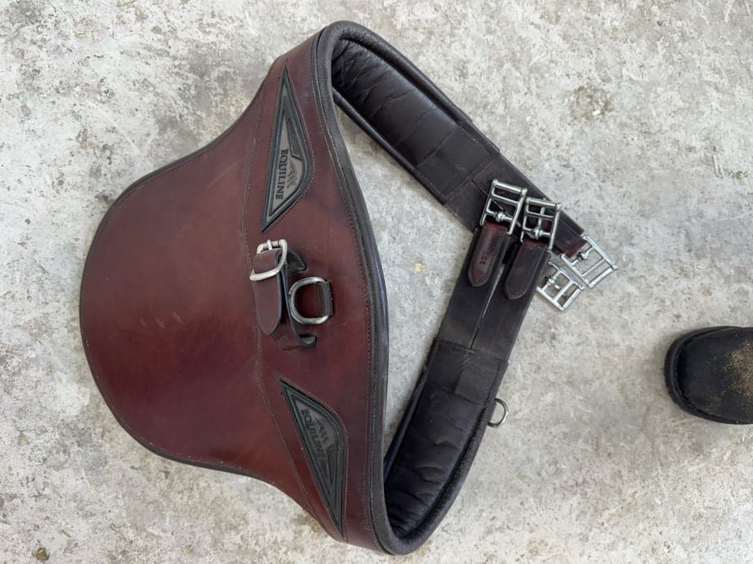 Bild 1 av Brun sadelgjord från Equiline