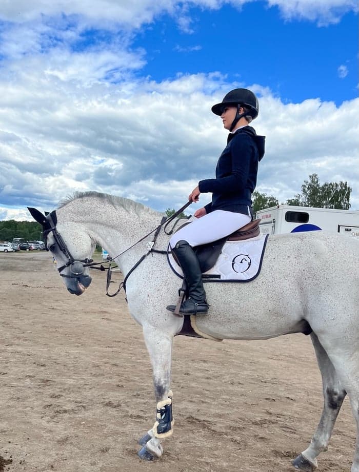 Media 1 of Serendipity