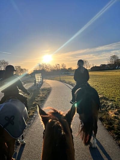 Inlägg 47 av Allround med titeln Skåne levererar, lever dröm livet hos Hammarströms å skulle vilja stanna för resten av livet 🤩