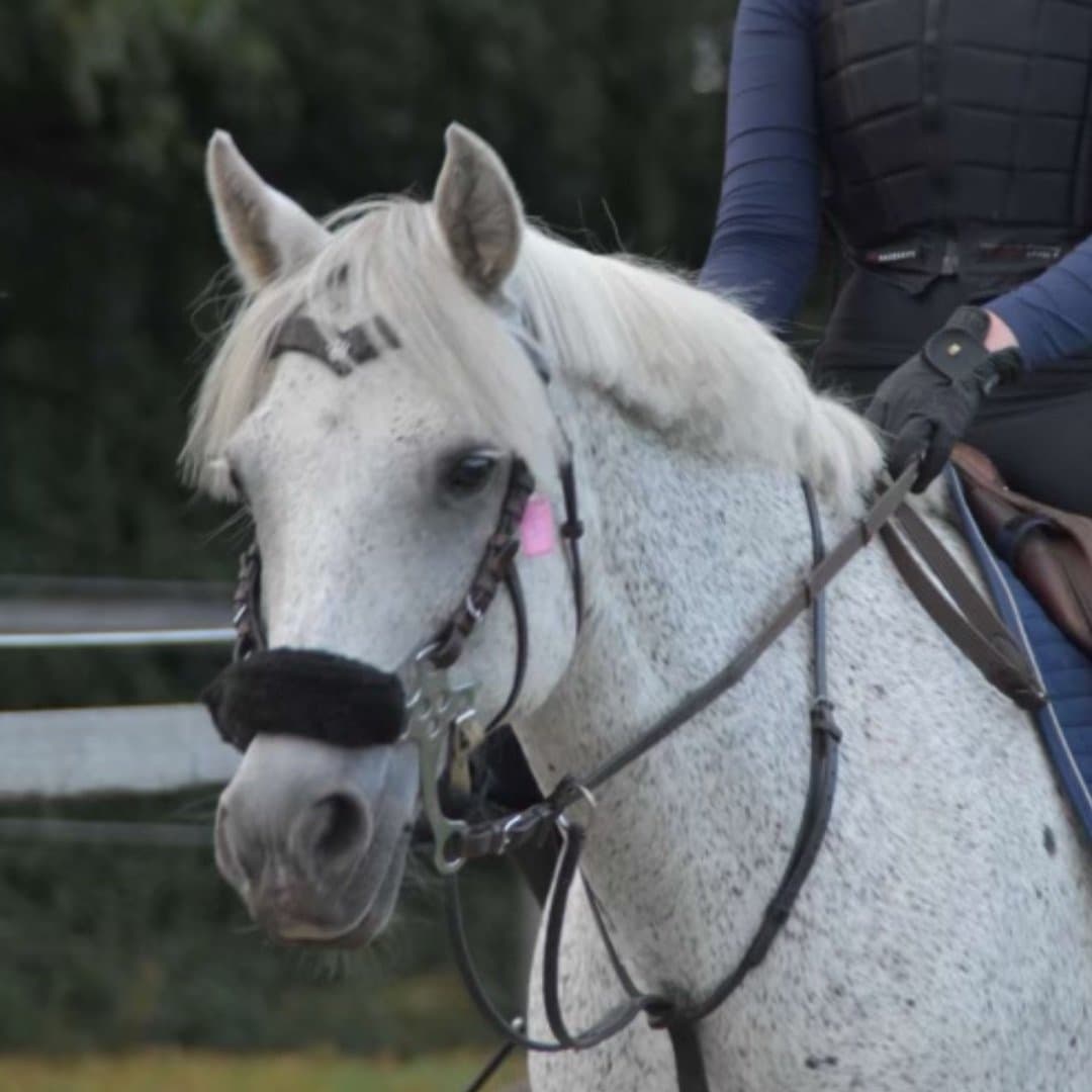 Image 1 of Bränntomts Lydia