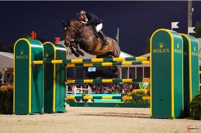 Inlägg 6 av Hoppning med titeln 3:a i Wellington 5* Rolex GP 🇺🇲