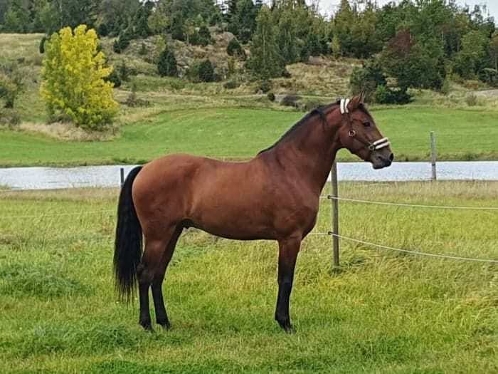 Media 1 av Movido JLP