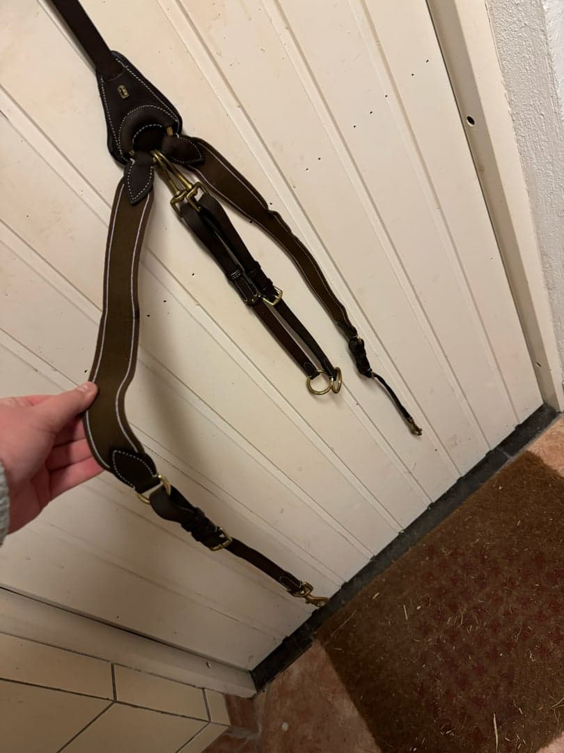 Bild 1 av Brun Förbygel med martingal 