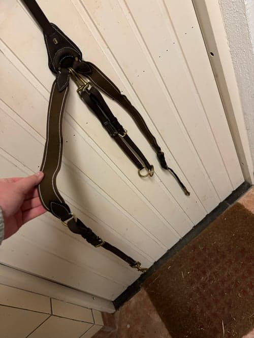 Bild av Brun Förbygel med martingal 