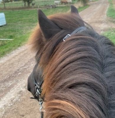 Eifur från Stensborg