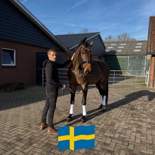 Profilbild av Nick Lindgren