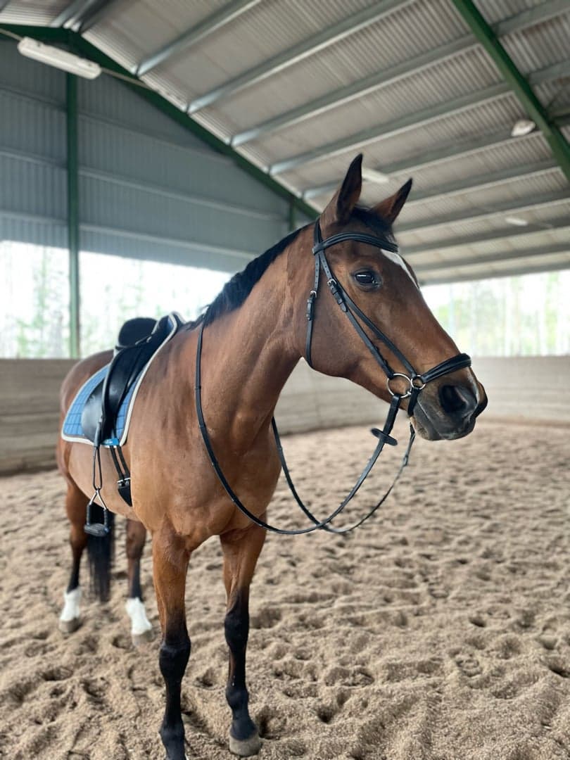 Bild 1 av Mozzarella SWB