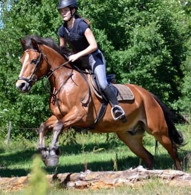 Media 1 av Sturevallens Romeo