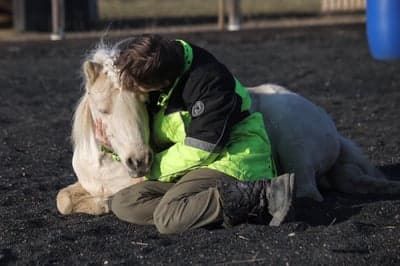 Inlägg 15 av Trickridning med titeln Mys❤️