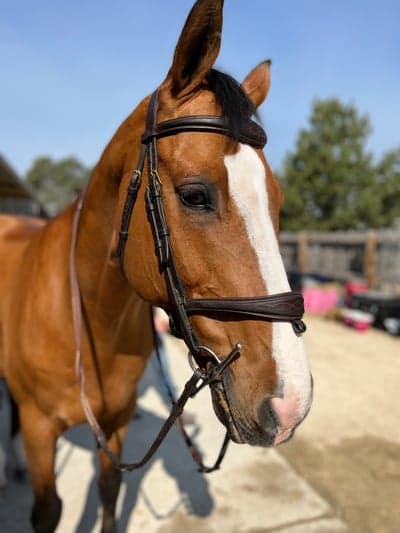 Inlägg 66 av Allround