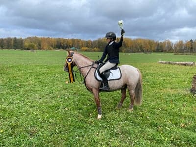 Inlägg 329 av Hoppning med titeln Tävling Örebro 