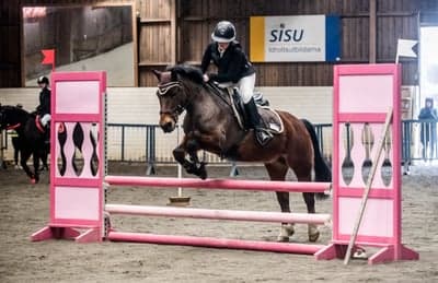 Inlägg 80 av Allround med titeln Tävling på hemmaplan 🎉