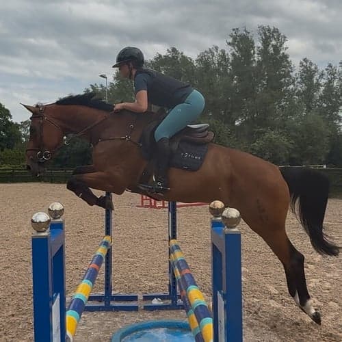 Profilbild av Elvira Lönngren