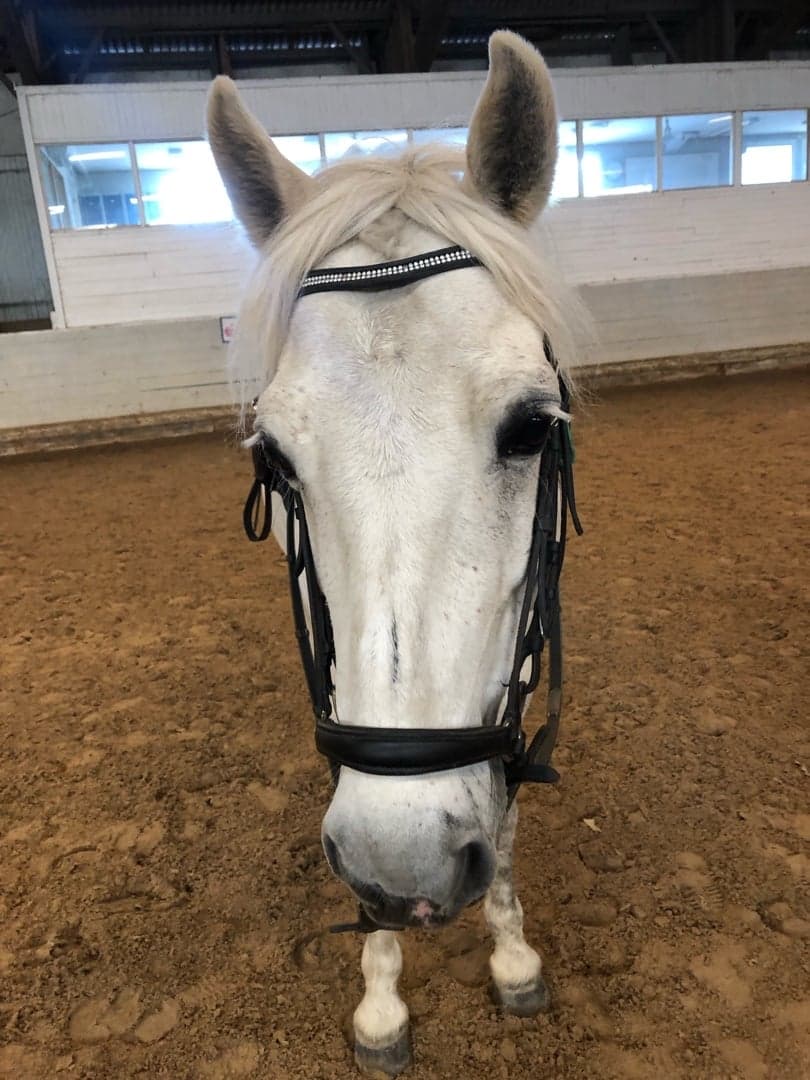 Image 1 of Blue(The Blue of the Night)