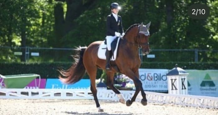 Media 1 av Holly's Final (SWB)