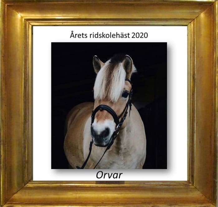 Media 2 of Orvar