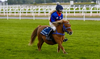 Inlägg 23 av Monté med titeln Ponnygalopp