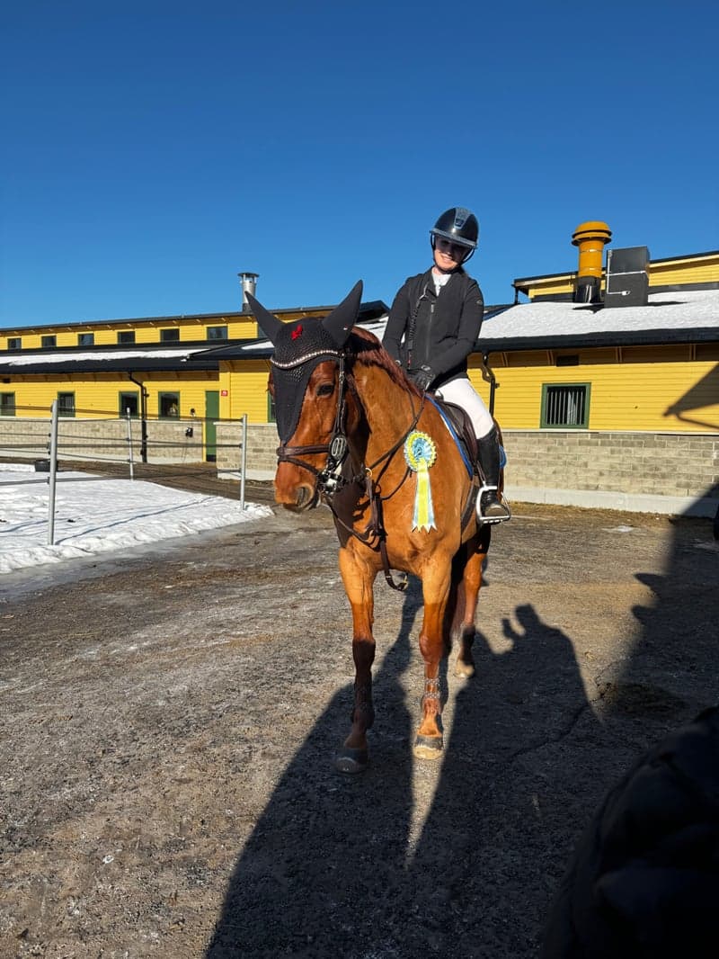 Bild 3 av Noor-Saille