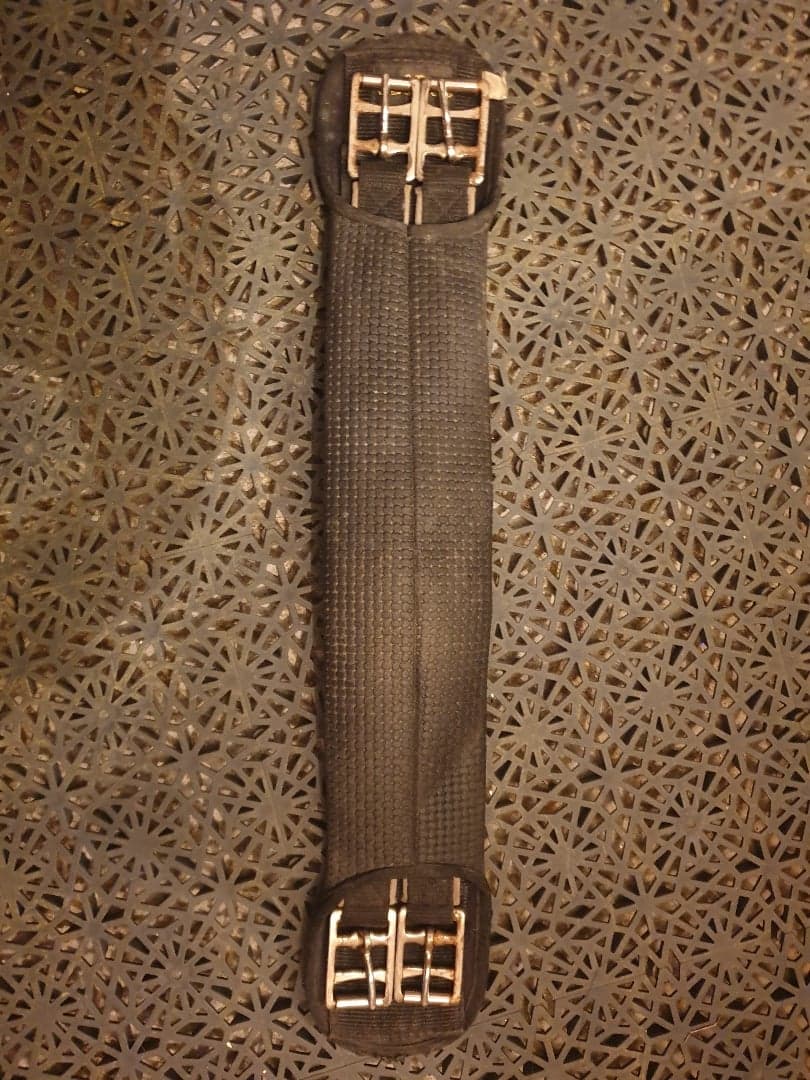 Bild 1 av Dressyrgjord