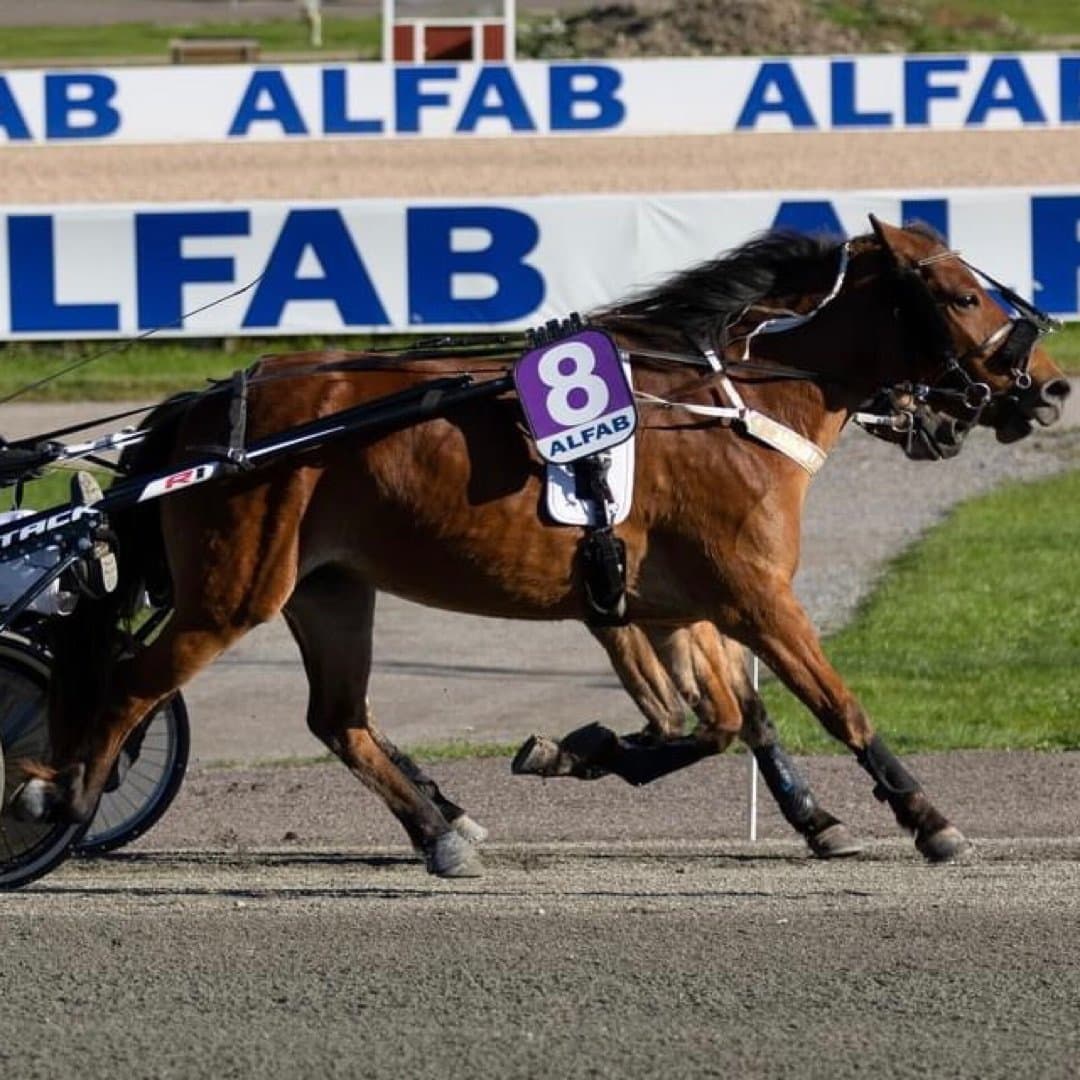 Bild 1 av Min lilla Aleshia