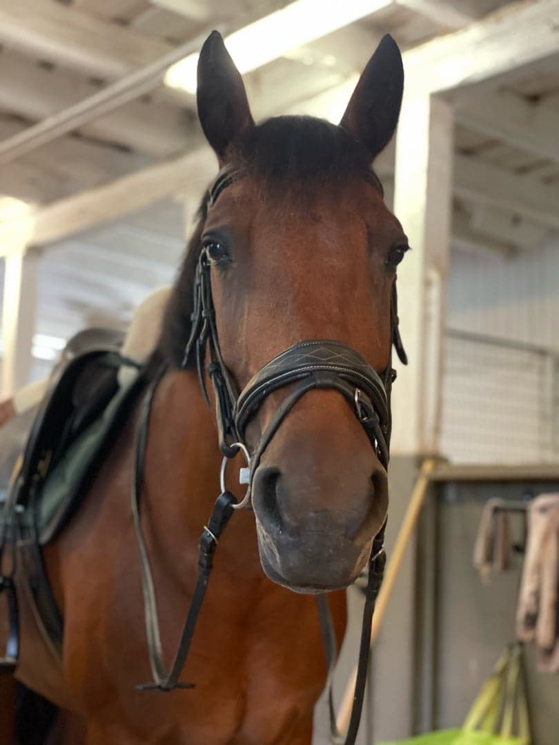 Bild 1 av Healys Ruby