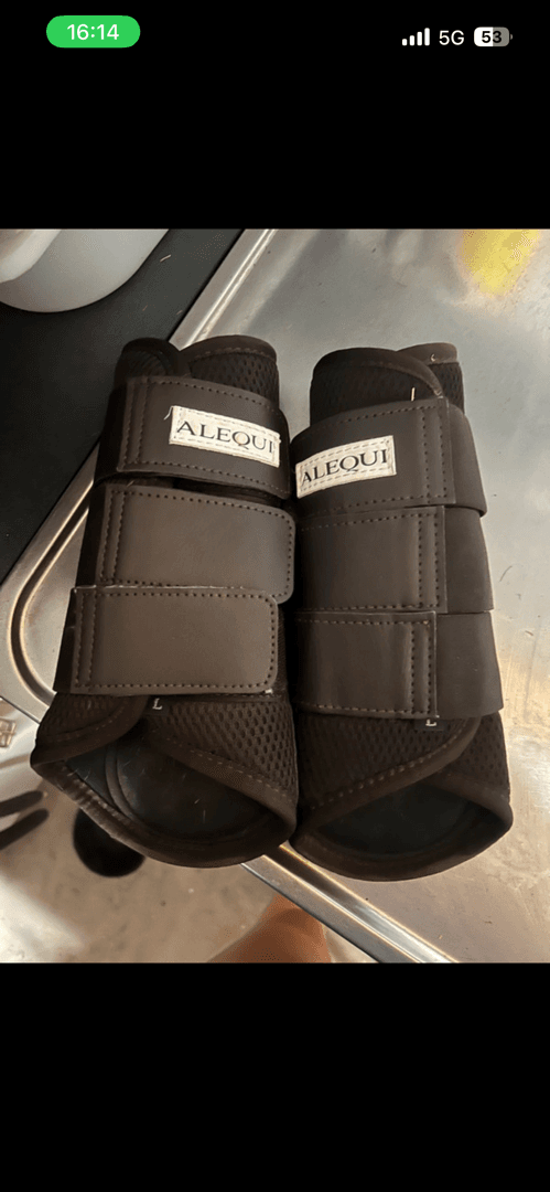 Media 1 av Bruna skydd från ALEQUI