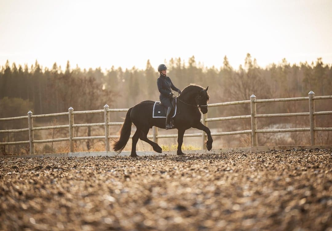 Bild 1 av Matheus af Gisslarbo