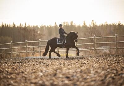 Matheus af Gisslarbo