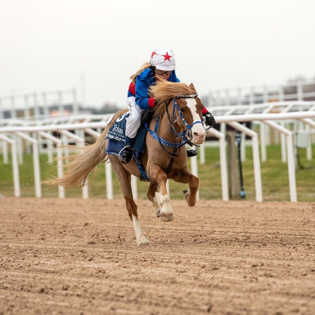 Bild 1 av Lady Macbeth