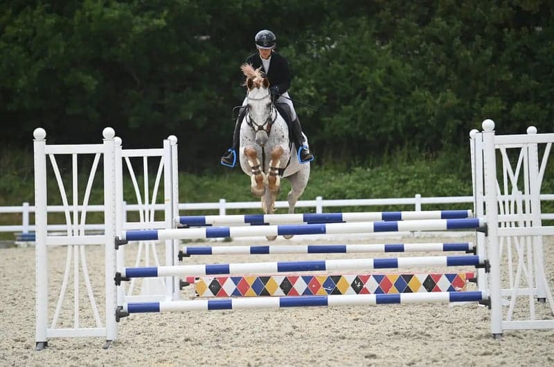 Bild 4 av SLÅENDE ALLROUNDER, LIKA TALANGERAD OCH LÄTT SOM