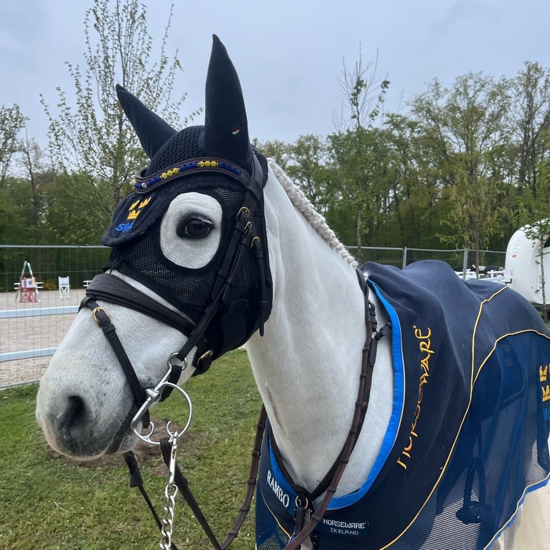 Bild 1 av Gaoth Mhara Lad