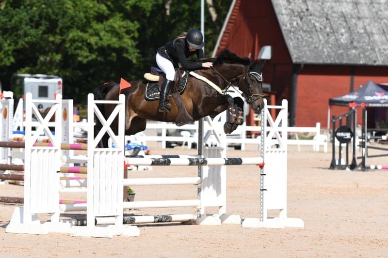 Bild 2 av Premier Royal Sport