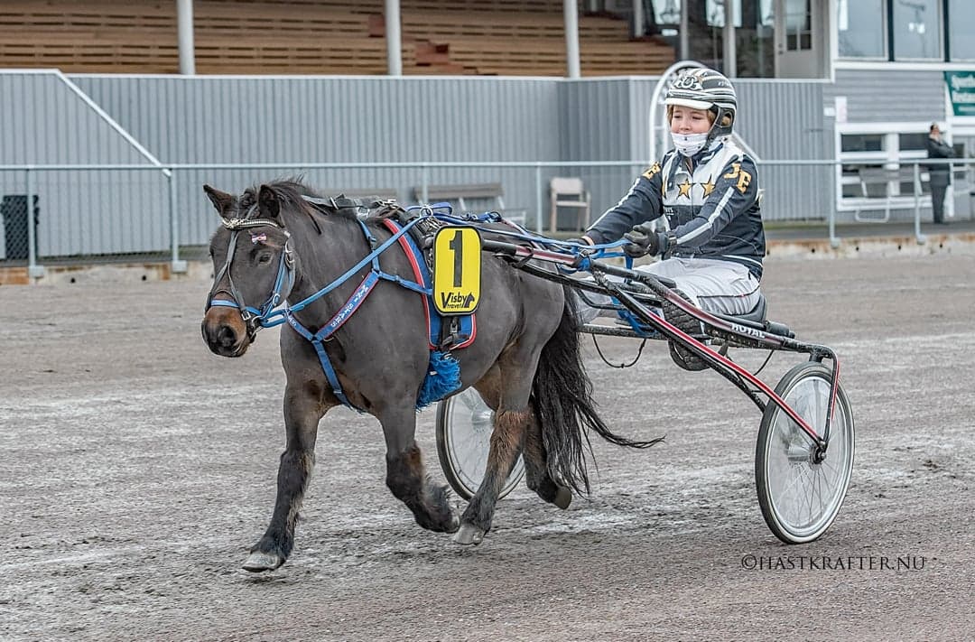 Image 1 of Nordanåkers Mario