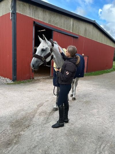 Inlägg 8 av Oldenburger