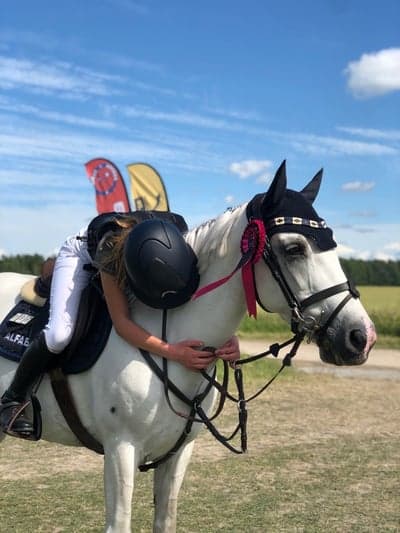 Inlägg 427 av Hoppning med titeln 2022-07-13