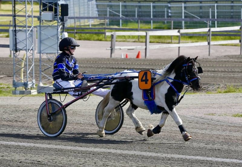 Bild 3 av Humledals Rick Tocchet