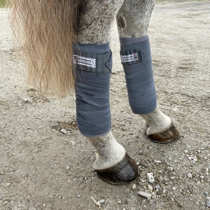 Media 2 av Gråa lindor i fint skick 